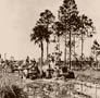 historical Swamp Buggy photo album